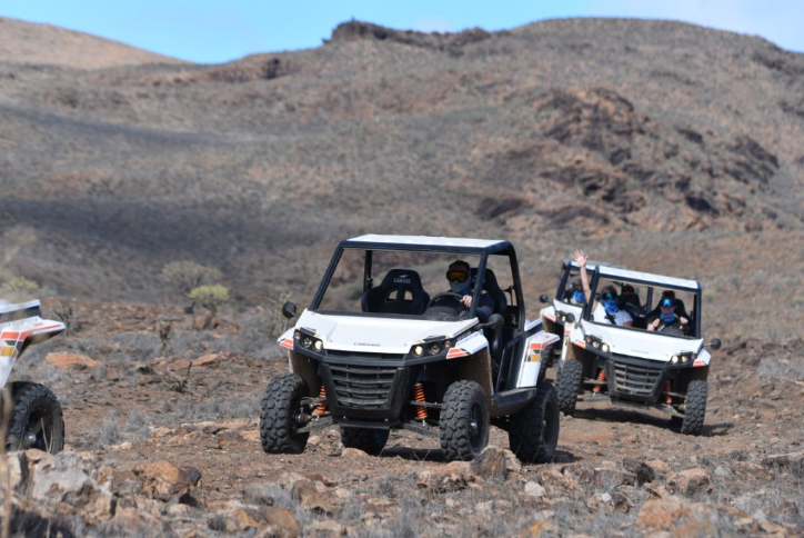 Buggy Safari